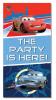 Banner decorativ pentru usa CARS 2 McQueen & Finn 165x85cm