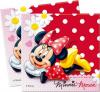 Set de petrecere MINNIE & DAISIES