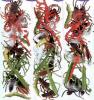 24 animalute bugs pack