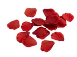 100 Petale de trandafiri rosii din hartie