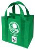 Sacosa Greenbag 017