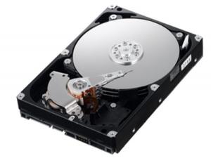 Hard disk 250 Gb S-ATA II, Samsung HD251HJ, 16MB cache