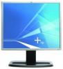 Monitoare > Second hand > Monitor 19 inch TFT HP LP1955 Black & Silver