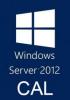 Licenta Software > Microsoft > Windows Server 2012 CAL , 5 Clt User