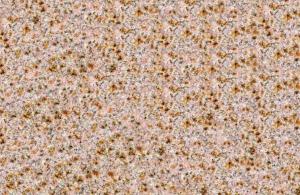 Placaj granit Aur Desert, lucios, 40 x 40 x 2 cm