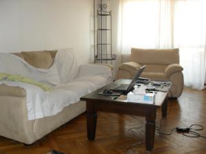 Parcul herastrau vanzare apartament