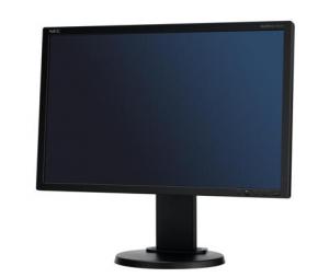 Monitor LCD NEC MultiSync E222W Black
