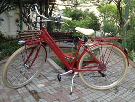 Bicicleta de oras City Retro