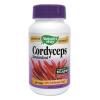 Cordyceps se 60cps