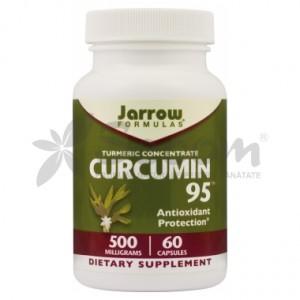 CURCUMIN 95 - 60 capsule