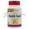 Mastic gum - 45 capsule easy-to-swallow