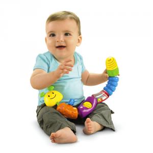 Omida &quot;Grupeaza piesele&quot; Fisher-Price