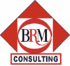 BRM Consultanta in Afaceri