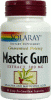 Mastic gum