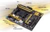 AMD A88XM-PLUS Skt FM2+ A88X (Bolton D4),  4*DDR3 2400(O.C.)/2250(O.C.)/2200(O.C.)/2133/1866/1600/1333 MHz max 64GB, Integrated AMD Radeon HD...