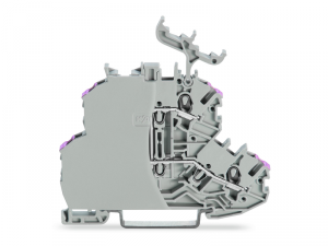 Double-deck terminal block; 4-conductor through terminal block; with end plate; L; with marker carrier; internal commoning; conductor entry with violet marking; for DIN-rail 35 x 15 and 35 x 7.5; 1 mmA&sup2;; Push-in CAGE CLAMPA&reg;; 1,00 mmA&sup2;; gray