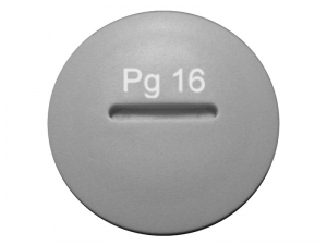 Dop PG din poliamida-PG16