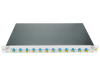 Patchpanel FO 19", 1UV, culisant, pentru 12 fibre, LC, SM