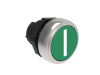 Push buton , diametru, WITH SYMBOL A&#152;22MM PLATINUM SERIES, FLUSH, I / GREEN