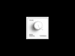 Unitate de control audio pentru 100V boxe max 20W, alb, TUTONDO