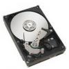 Hard disk seagate st3250310as, 250