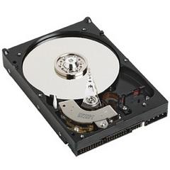 Hard disk Western Digital Caviar, 80GB - WD800JB
