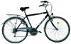 BICICLETA TREKKING 2831