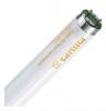 Tub fluorescent philips 18w