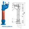 Hidrant subteran dn100/h1[m]:1.00