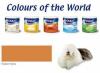 DULUX COW EASTERN SPICE 5.0L