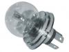 Lampa auto 24v incandescent 50/55w p45