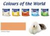 Dulux cow jamaican ginger 2.5l