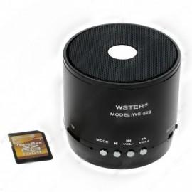 Mini boxa portabila Wster WS-529