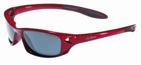 Julbo Globe - Cameleon