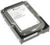 Hdd fujitsu mba3300rc 300 gb