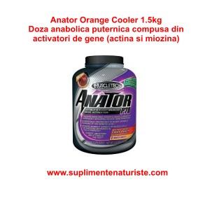 Muscletech Anator P70 - creste masa si puterea musculara