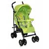 CARUCIOR SPORT PICADILLY PALMS GREEN BERTONI