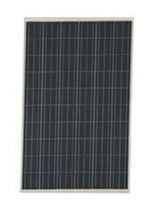 Panouri fotovoltaice - Policristalin CNPV-250P