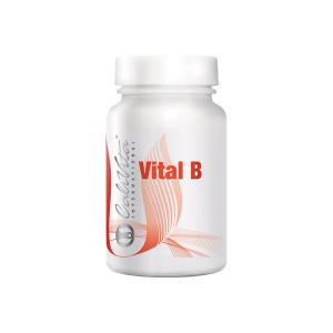 Vital B (90 tablete)