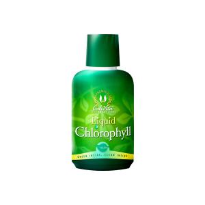 Liquid Chlorophyll (473 ml)