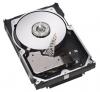 Hard disk scsi 300gb, 10k rpm, 3.5 inci, diverse
