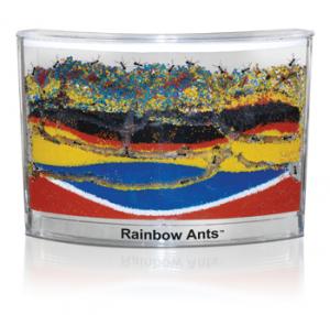 Habitat pentru furnici cu nisip colorat