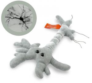 Neuronul