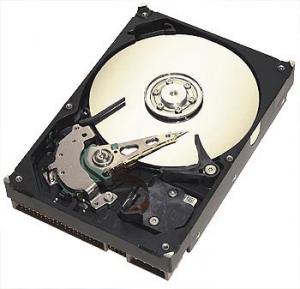 Hard Disk Maxtor DiamondMax 21 160GB 7200rpm