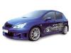 Peugeot 307 body kit ninja