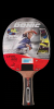 Paleta ping pong donic germany 600