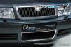 Ornament antena - crom skoda octavia i