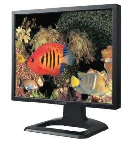 Monitor LCD Samsung 214T