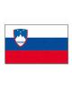 Steag slovenia 90x150 cm