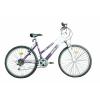 Bicicleta dama dhs 26"